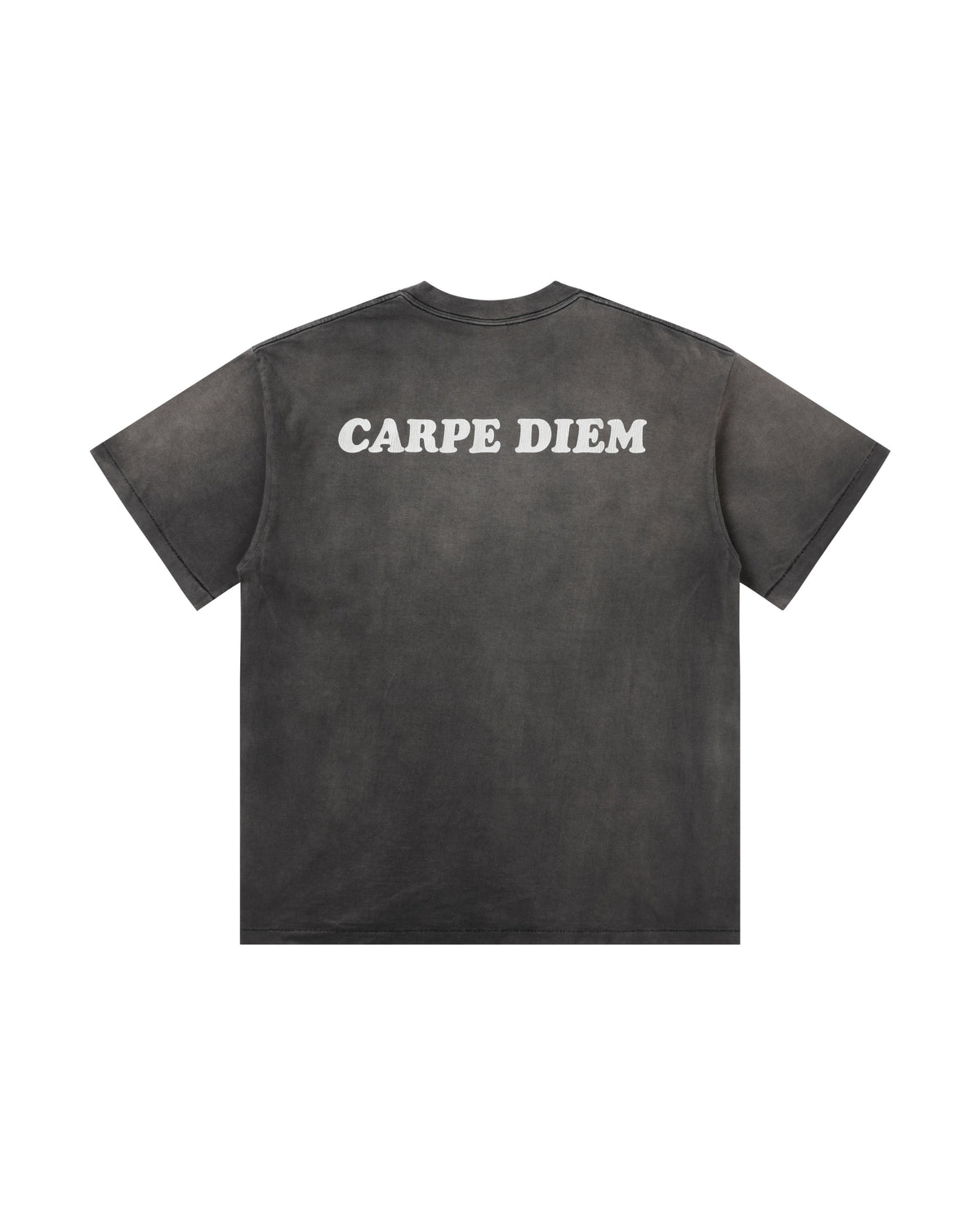 Carpe Diem Vintage Tee – product image 2