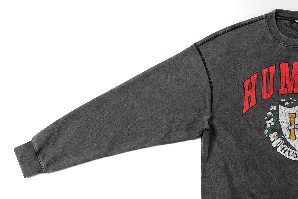 College Logo Crew Neck – product image 6
