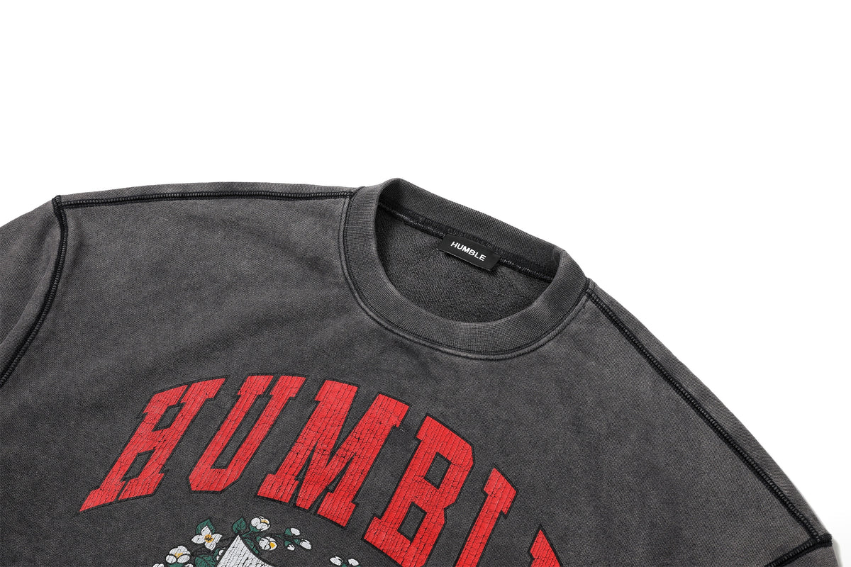 College Logo Crew Neck – product image 8